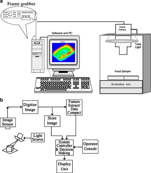 机器视觉在农业产品筛选中的创新应用与技术解析