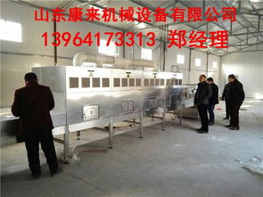 微波葡萄干杀菌设备 技术原理、优势与专业服务解析