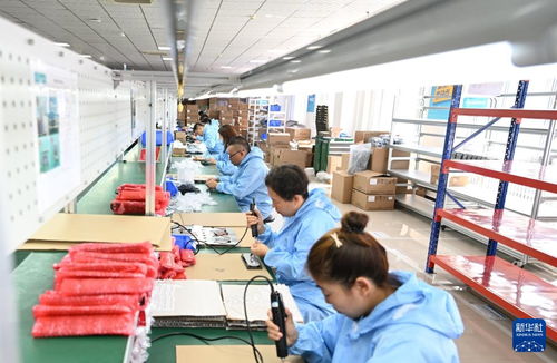 哈尔滨新区 涌动创新热潮，技术服务引领产业振兴